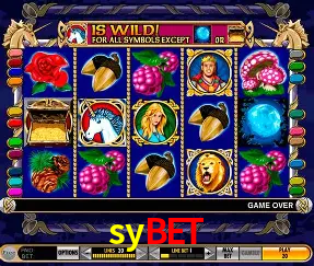 sybet Rio de Janeiro - Bonus Terms